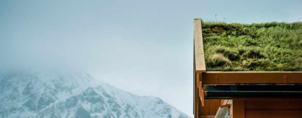 home-hero Home Hero 1024x401 1